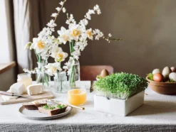 Microgreens Starter-Set, 4-teilig