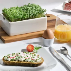 Microgreens Starter-Set, 4-teilig