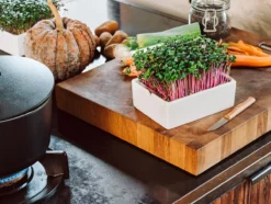 Microgreens Starter-Set, 4-teilig