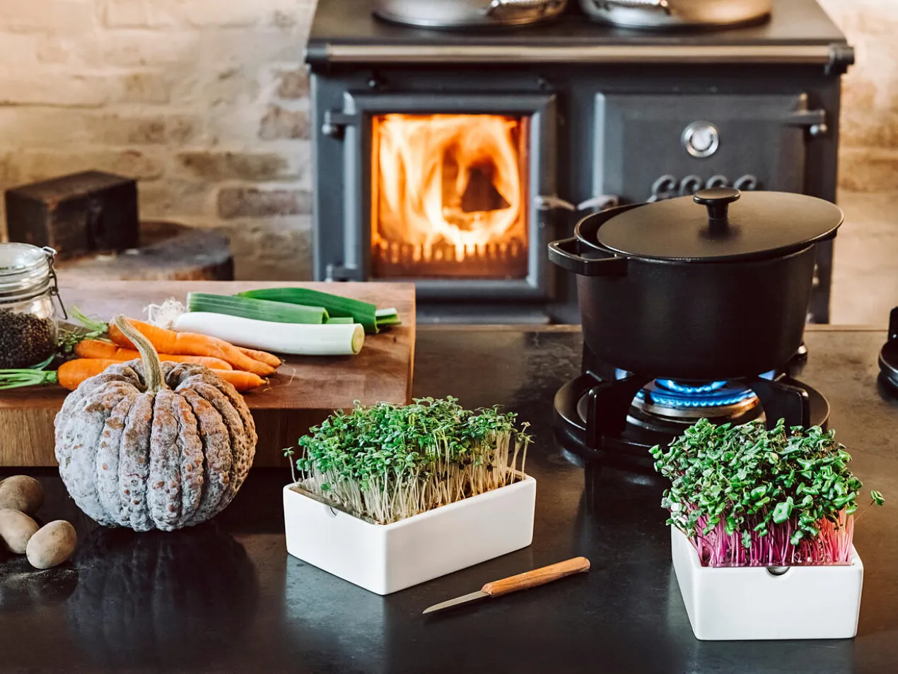 Microgreens Starter-Set, 4-teilig