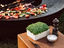 Microgreens Starter-Set, 4-teilig