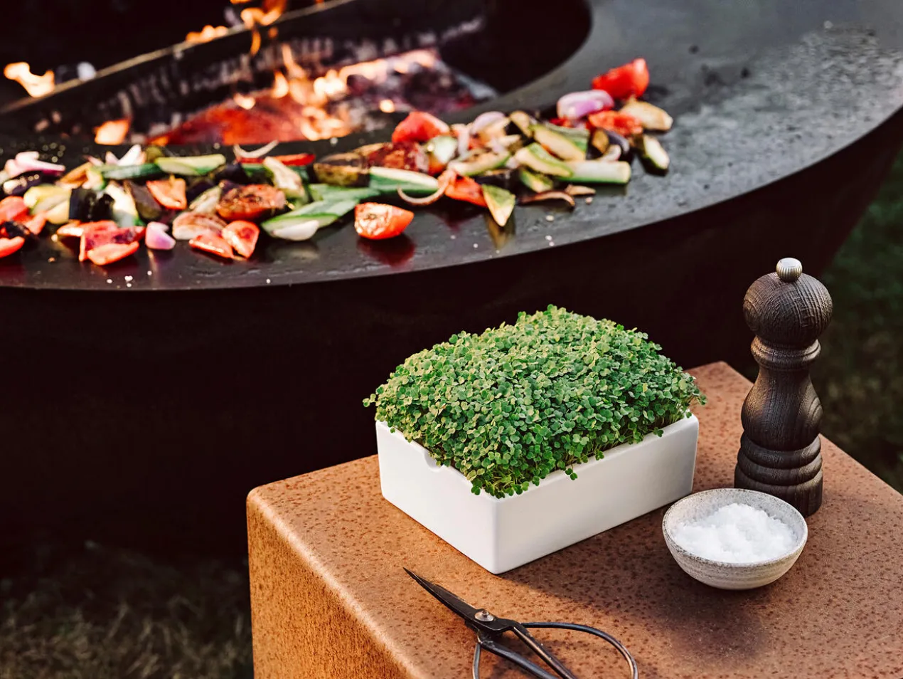 Microgreens Starter-Set, 4-teilig