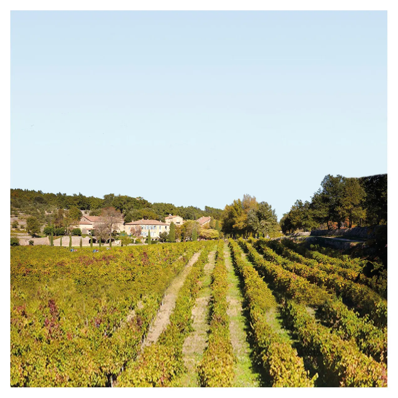 Miraval Rosé, Côtes de Provence, Frankreich