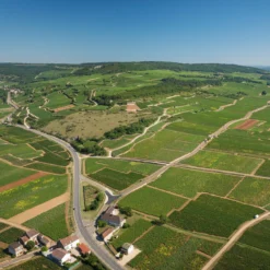 Montrachet Louis Jadot 2022, Burgund, Frankreich