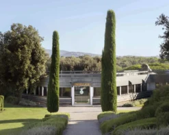 Ornellaia 2019, Tenuta dell`Ornellaia, Bolgheri, Toskana, Italien