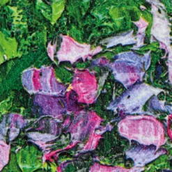 Pei Lian Zhi – Day in Spring
