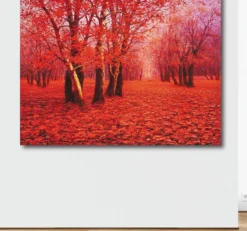 Pei Lian Zhi – Red Forest