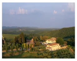 Petrignano 2021, Dievole, Chianti Classico DOCG, Italien
