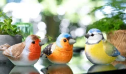 Plüschvögel mit Original-Zwitschern