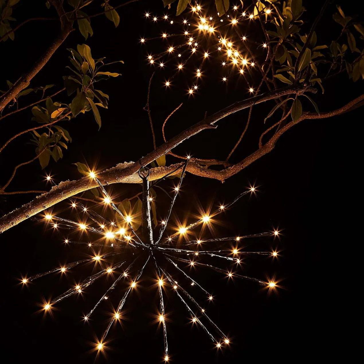 Polarstern Lichterkette