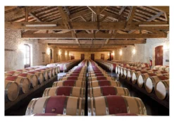 Pontet Canet 2009, 5ème Grand Cru Classé, Pauillac, Bordeaux, Frankreich