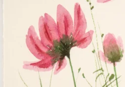 Rashmi Thodkar – Flowers