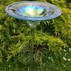 Regenbogenglas-Vogeltränke