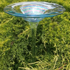 Regenbogenglas-Vogeltränke