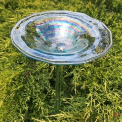 Regenbogenglas-Vogeltränke
