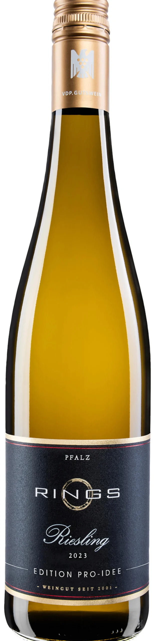 Riesling trocken EDITION PRO-IDEE 2023, Rings, Pfalz, Deutschland