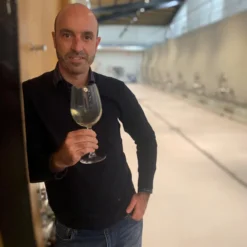 Rioja Blanco 2025, Baron de Ley, Rioja, Spanien