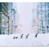 Robert Jahns – New York City Penguins