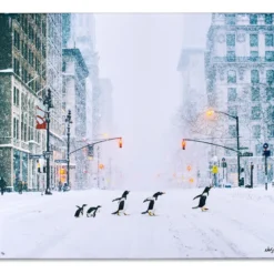 Robert Jahns – New York City Penguins