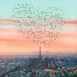 Robert Jahns – Paris Birds