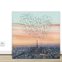 Robert Jahns – Paris Birds
