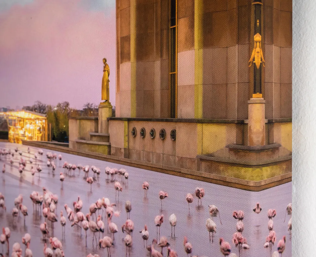 Robert Jahns – Paris Flamingos