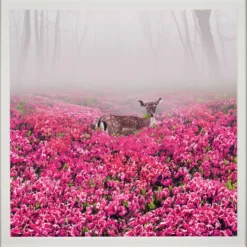 Robert Jahns – Pink Deer