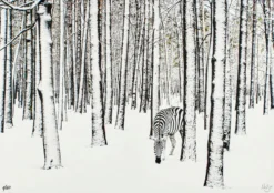 Robert Jahns – Snow Zebra