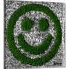 Romulo Kuranyi – Living Smile