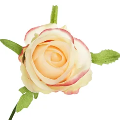 Rosenstrauß