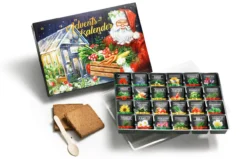 Saat-Adventskalender