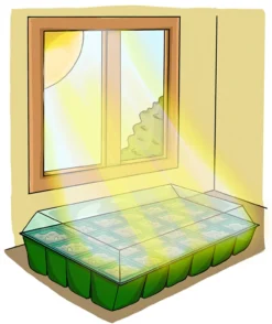 Saat-Adventskalender