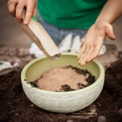 Saatbomben-Set