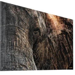Sarah Linke – Elephant