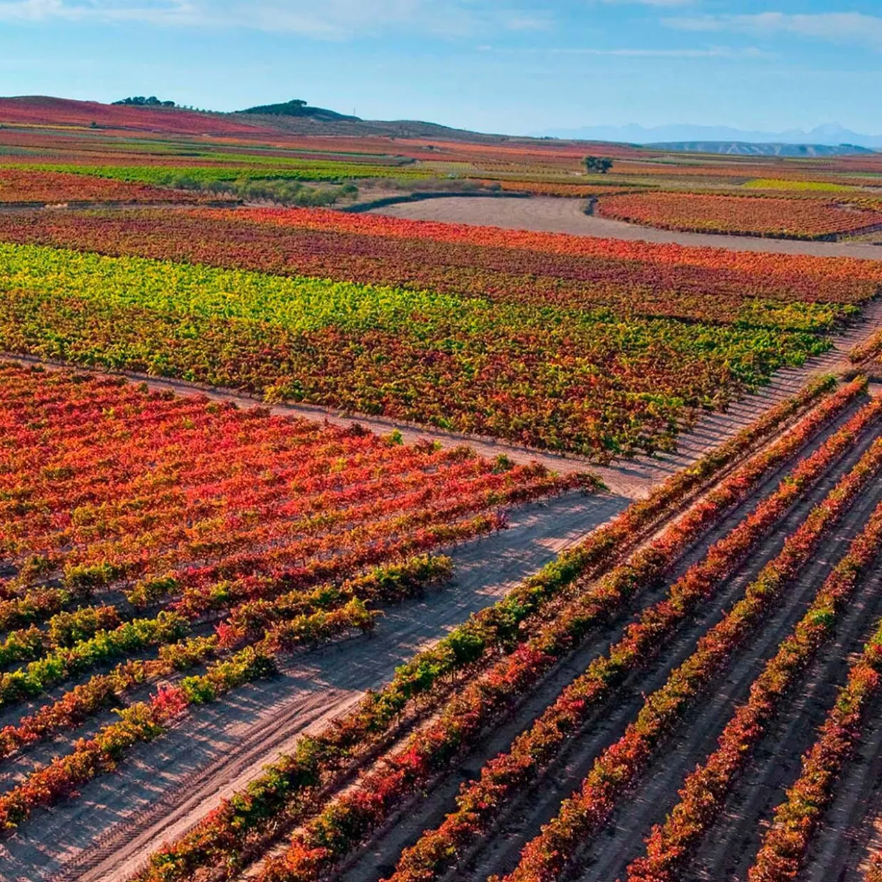 Siglo Rosé 2024, Bodegas Manzanos, Rioja DOCa, Spanien