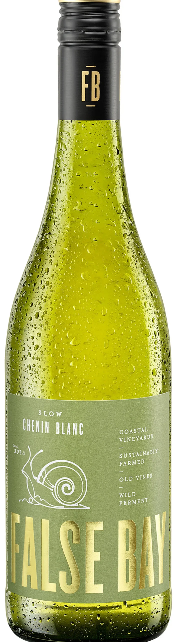 Slow Chenin Blanc 2024, False Bay, Coastal Region, Südafrika