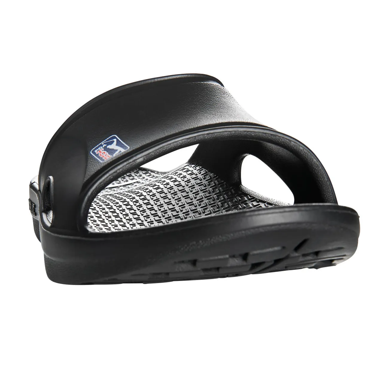 Telic Regenerations-Sandale