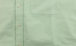The BDO-Shirt