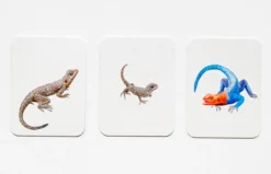 Tierfamilien-Memo-Spiel