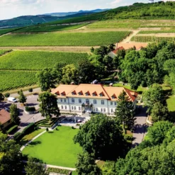 Tokaj Muscat Blanc 2023, Gróf Degenfeld Wine Estate, Tokaj, Ungarn