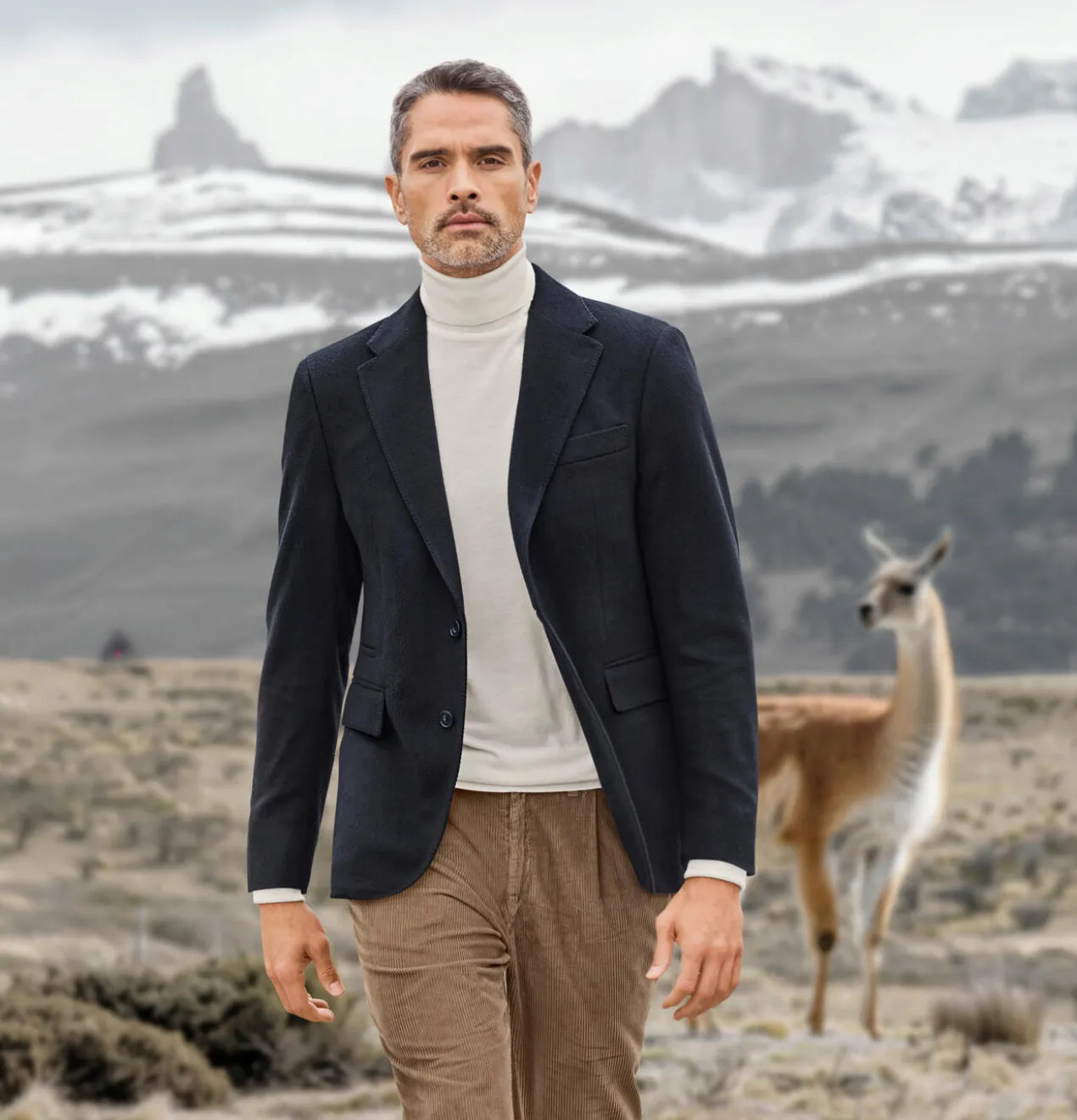 Vicuña-Blazer
