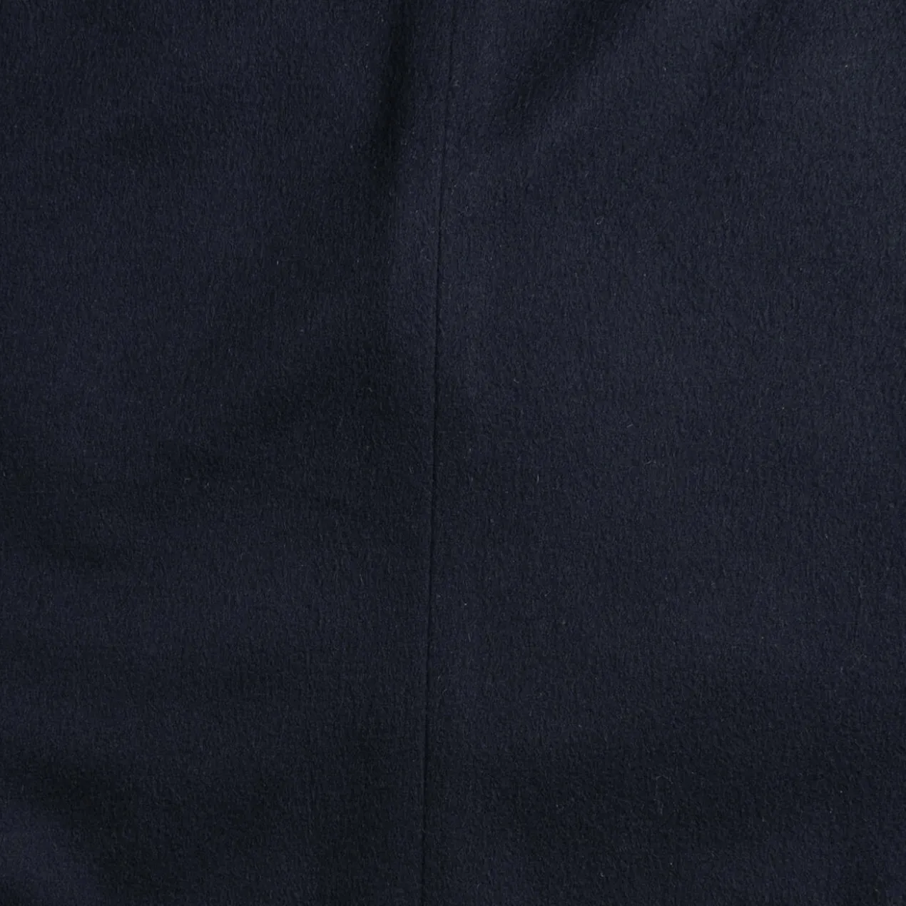 Vicuña-Blazer