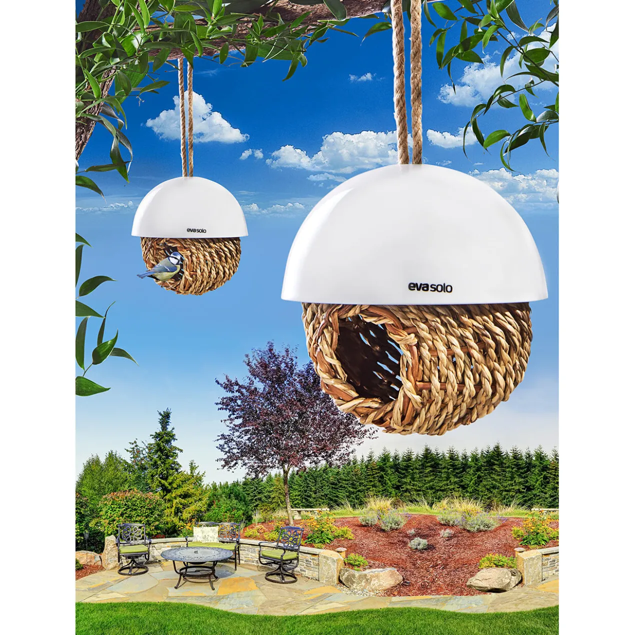Vogelnest