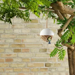 Vogelnest