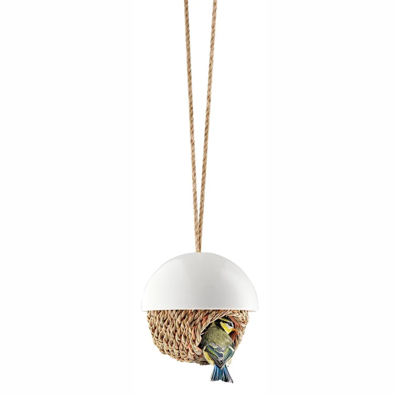 Vogelnest