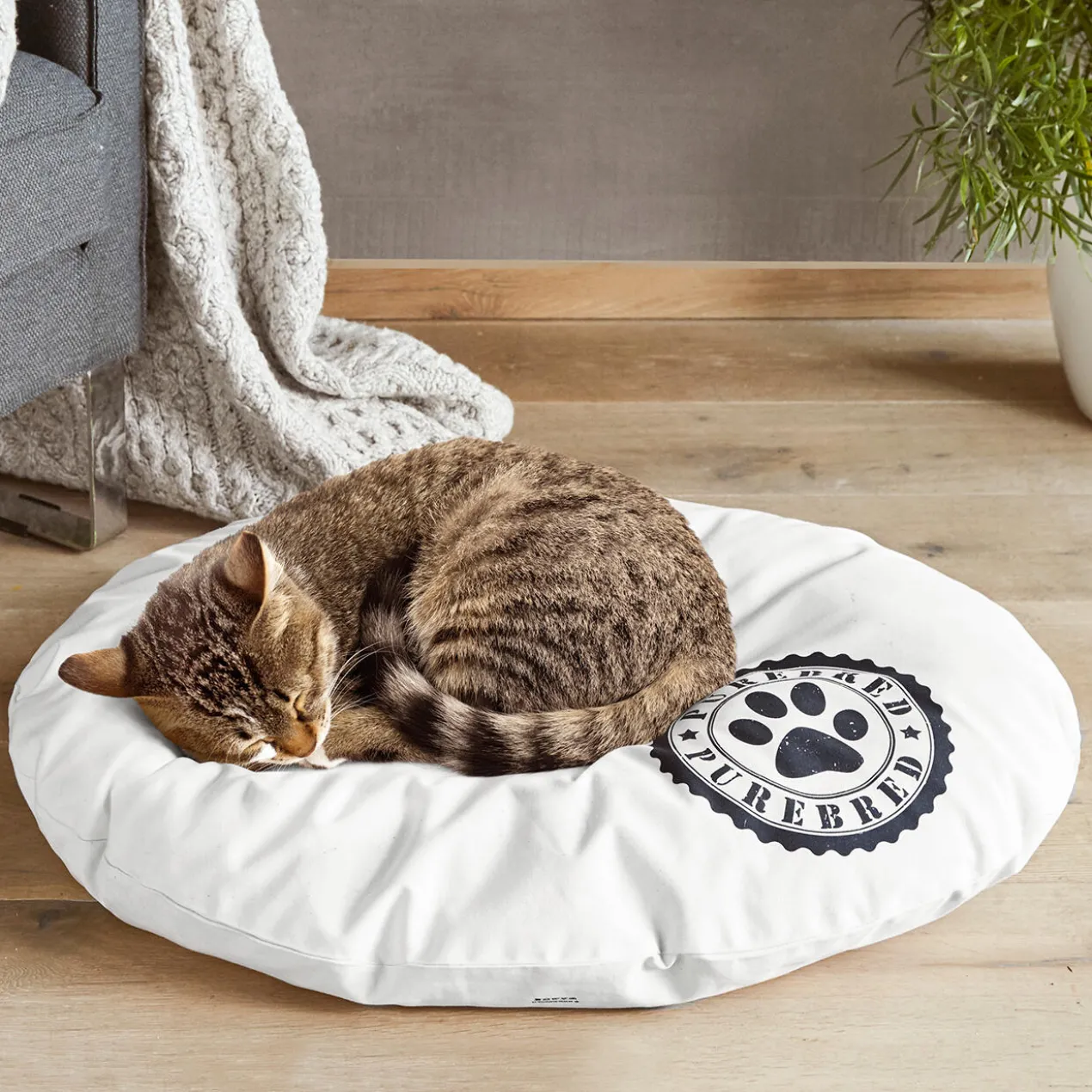 Zirben-Hundekissen oder -Katzenkissen