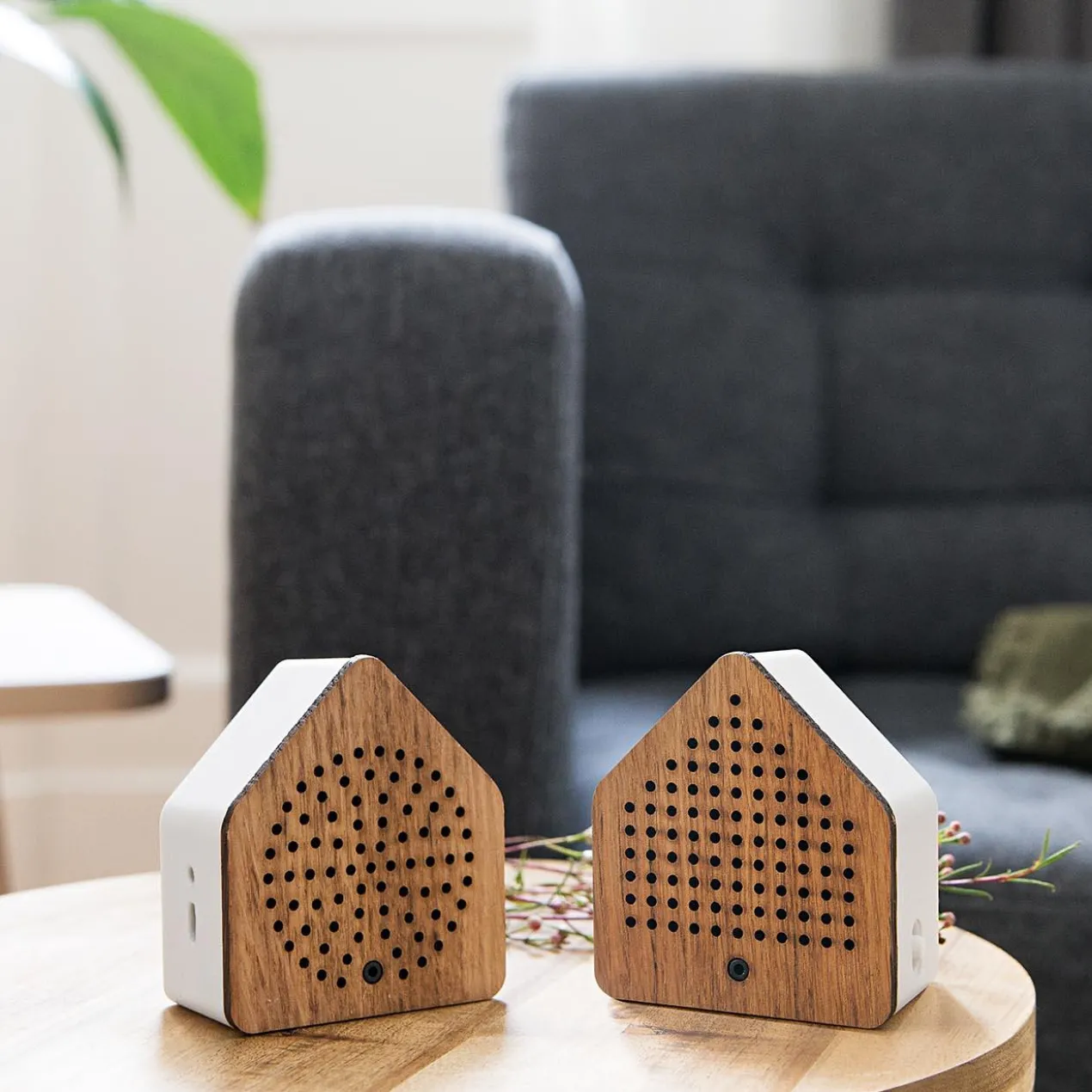 Zirpybox, 2er-Set